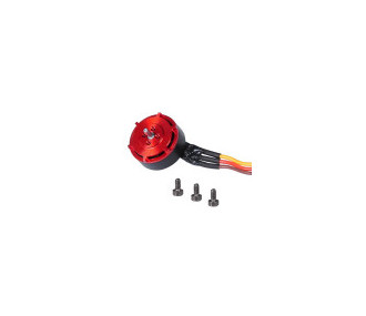 Tai Motor set-Rojo