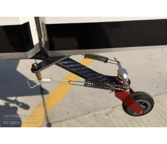 RUEDA TRASERA DE CARBONO (Ø41mm rueda)