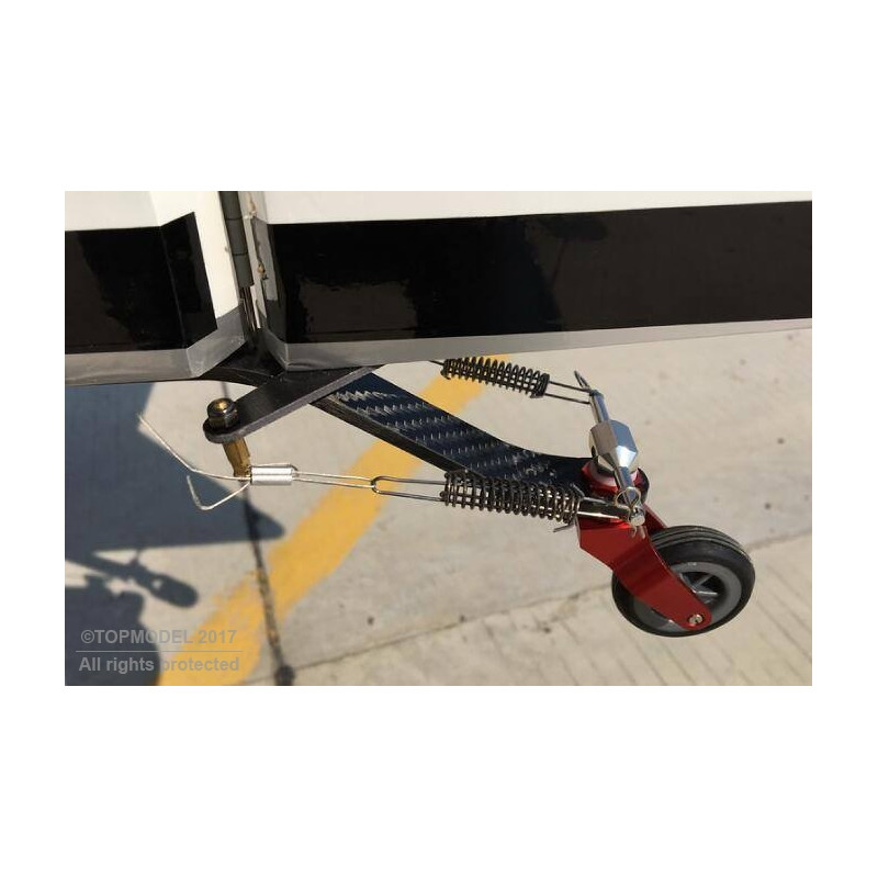 RUEDA TRASERA DE CARBONO (Ø41mm rueda)