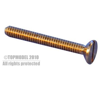 MESSINGSCHRAUBE TF M1,2x8 10St.