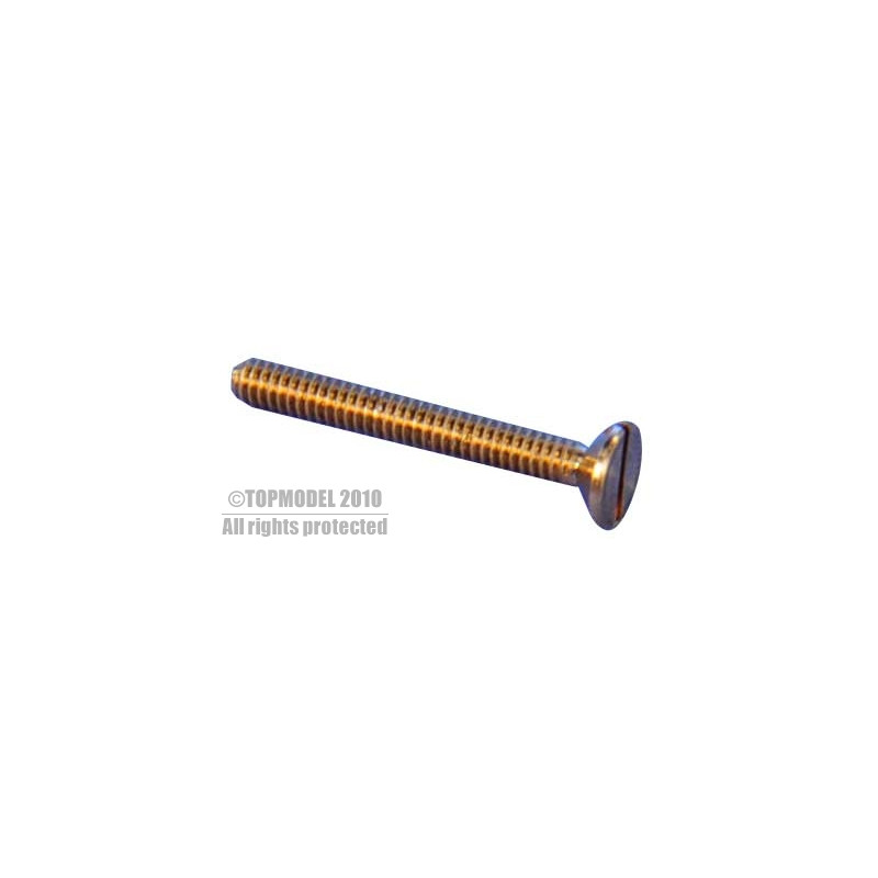 MESSINGSCHRAUBE TF M1,2x8 10St.