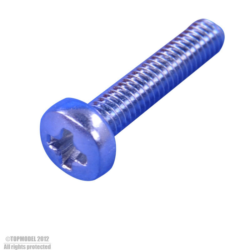 VIS PH M2,5x20 mm 10pcs