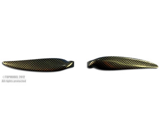 PAIRE PALES CARBON LOOK 12x8