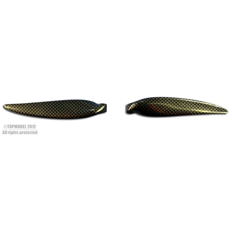 PAIRE PALES CARBON LOOK 12x8