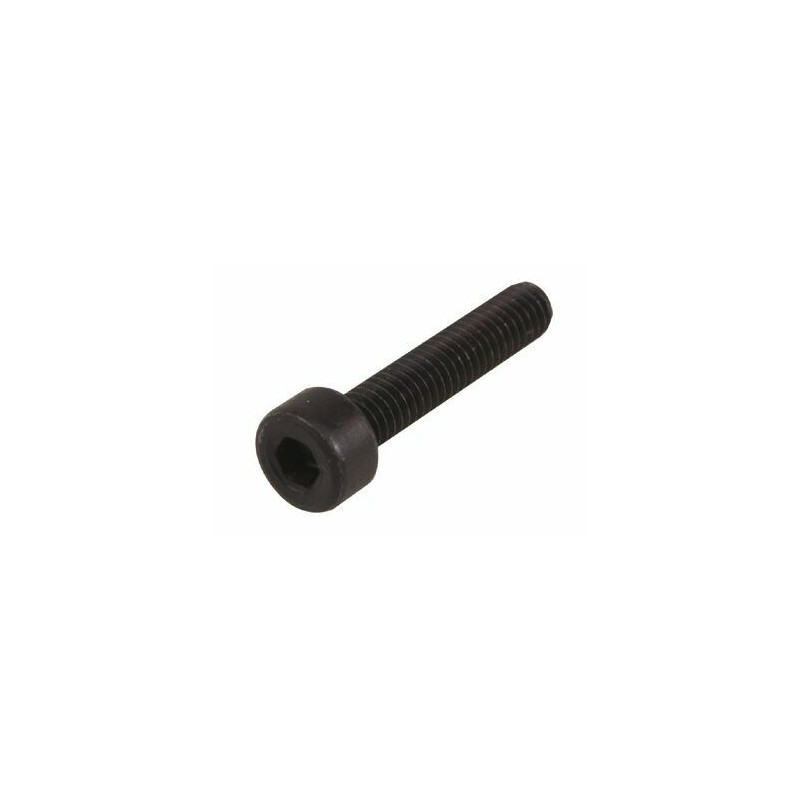 VIS 6 PANS CREUX M4x30 mm 4pcs