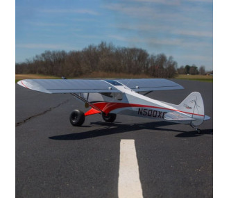 Avion CubCrafters XCub Hangar 9