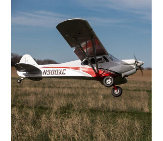 Avion CubCrafters XCub Hangar 9