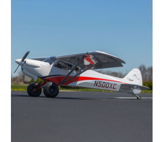 Avion CubCrafters XCub Hangar 9