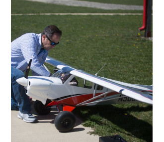 Avion CubCrafters XCub Hangar 9