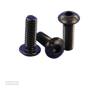 VIS Chc TETE BOMBEE M2,5x4mm 10pcs