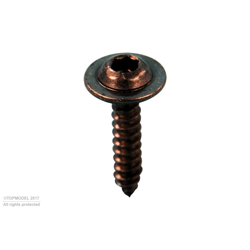 VIS AUTO-TARAUDANTE 3x15mm TETE Chc 30pcs