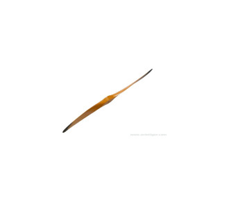 HELICE WB SCIMITAR CLAIRE 22X08