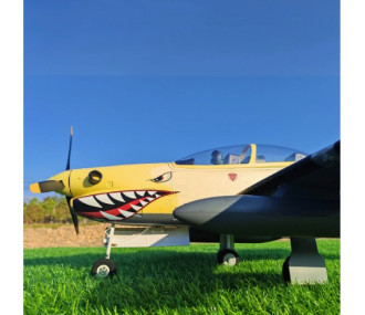 Avion Dynam EMB-312 Tucano 1250mm PNP