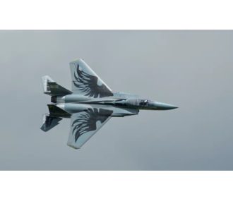 XFLY 710mm F-15 EDF TWIN 40mm JET Gris