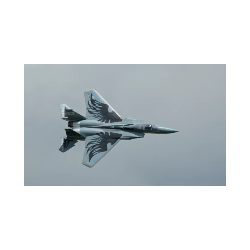 XFLY 710mm F-15 EDF TWIN 40mm JET Gris