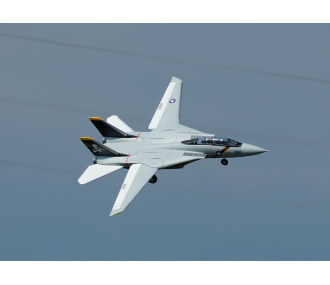 XFLY TWIN 40MM F-14 TOMCAT EDF 700MM JET 