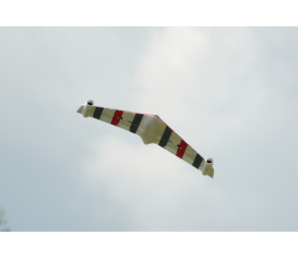 XFLY EAGLE 40mm EDF FLYING WING avec gyro - vert 