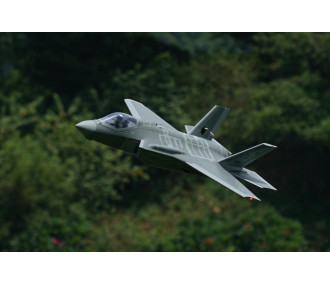 XFLY TWIN 40MM F-22 EDF 702MM JET 