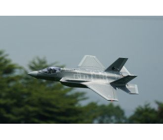 XFLY TWIN 40MM F-22 EDF 702MM JET 