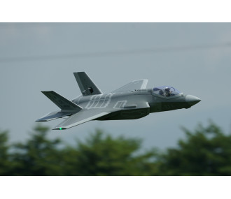 XFLY TWIN 40MM F-22 EDF 702MM JET 