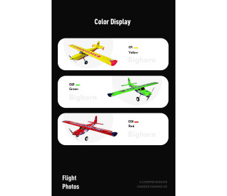 OMPHOBBY BIG HORN ARF 100 VERT