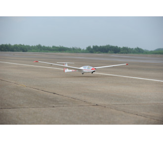 Motoaliante ASK-21 circa 3,20m ARF 1/5e Modello Phoenix