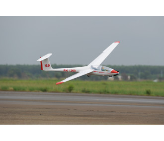 Motoplaneur Phoenix Model ASK-21 env.3.20m ARF 1/5e