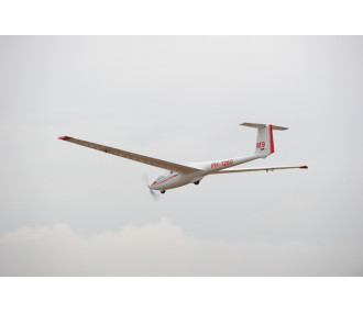 Motoaliante ASK-21 circa 3,20m ARF 1/5e Modello Phoenix