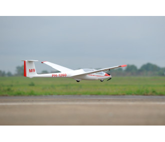 Motoaliante ASK-21 circa 3,20m ARF 1/5e Modello Phoenix