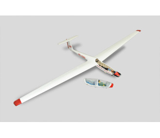 Motoplaneur Phoenix Model ASK-21 env.3.20m ARF 1/5e