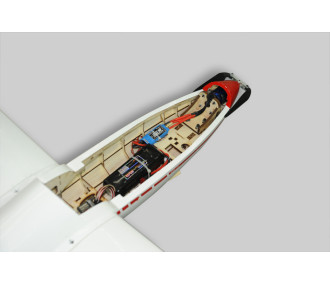 Motoplaneur Phoenix Model ASK-21 env.3.20m ARF 1/5e