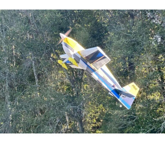 Avion Voltige Pilot RC - EDGE 540 – 39″ (1.0m), Jaune, Bleu, gris