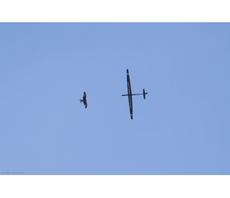 Aero-naut SPIKE 3450 mm – Kit planeur électrique tout bois 6 volets (réf. 133500)