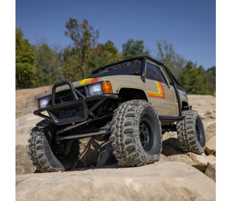 AXIAL SCX24 Chevrolet C10 1967 4WD 1/24 - Micro Crawler RTR (Pack Complet) - AXI-2062T1