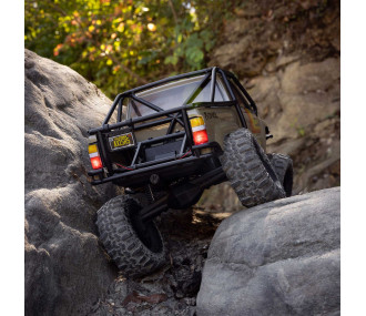 AXIAL SCX24 Chevrolet C10 1967 4WD 1/24 - Micro Crawler RTR (Pack Complet) - AXI-2062T1