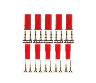 Amass connecteur JST BEC 10 prises femelles