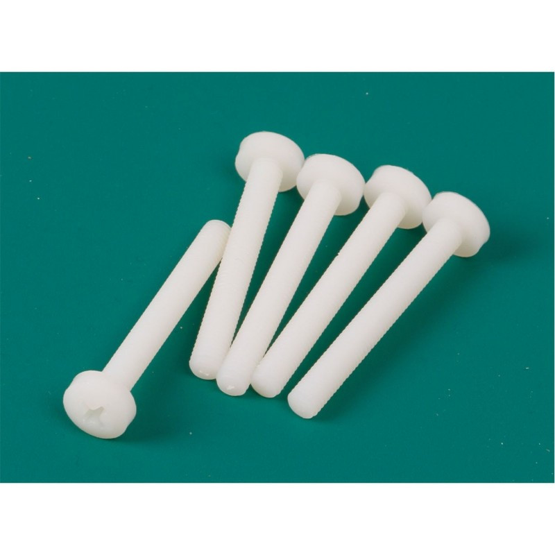 Vis nylon M6x80mm cruciforme (10 pcs)