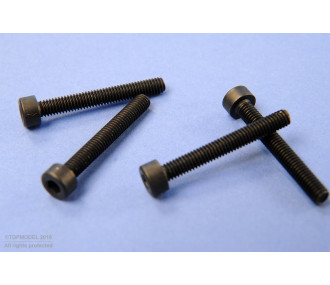 VIS 6 PANS CREUX M2,5x20 mm 4pcs