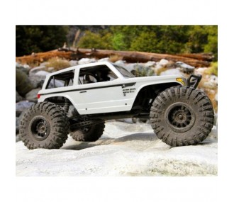 AXIAL Wraith Spawn 4WD Rock Racer 1/10 RTR