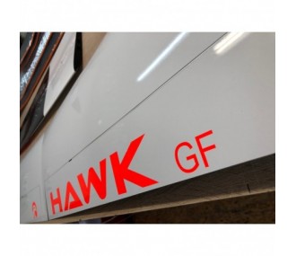 Hawk 3.6 GF (Giant Flap) red and white glider F5J VR Model