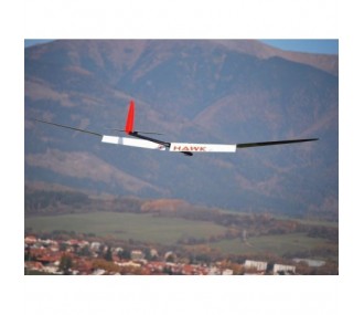 Hawk 3.6 GF (Giant Flap) red and white glider F5J VR Model