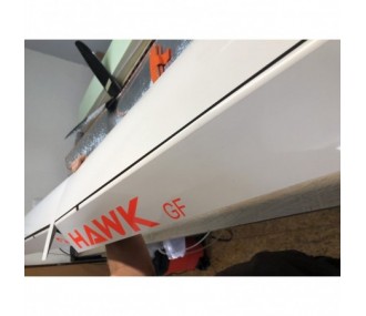 Hawk 3.6 GF (Giant Flap) red and white glider F5J VR Model