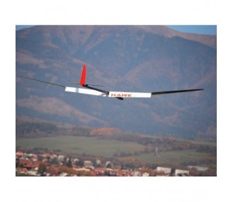 Hawk 3.6 GF (Giant Flap) white and red F5J VR Model glider