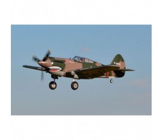 FMS P-40B Flying Tiger PNP aircraft approx.0.98m