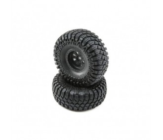 LOSI - Pneus montés Maxxis Creepy Crawler LT