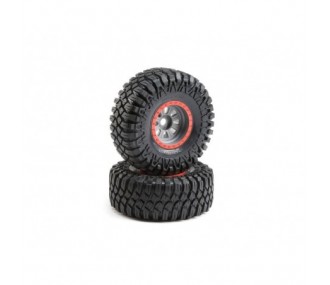 LOSI - Maxxis Creepy Crawler LT, montato(2): SuperRockRey