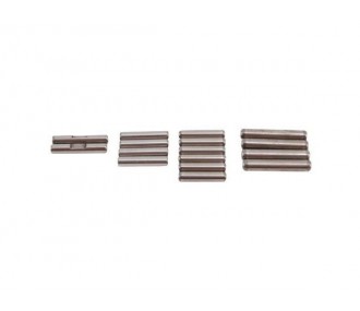 LOSI - Pins: 8B/8T