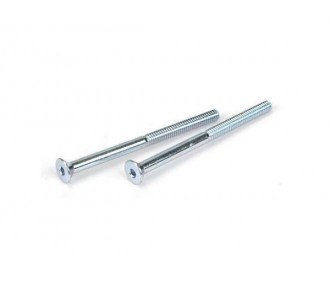 LOSI - Tornillo 5-40 x 1 7/8 FH (Pr)