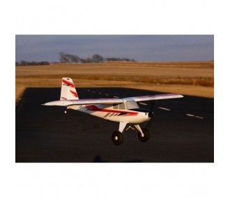 E-flite NIGHT Timber X PNP aircraft approx.1.20m