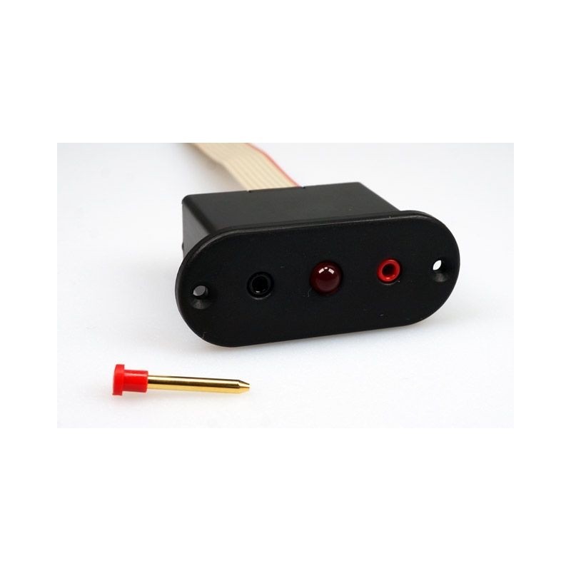 Magnetic switch PIN 30cm for DPSI EMOCTEC